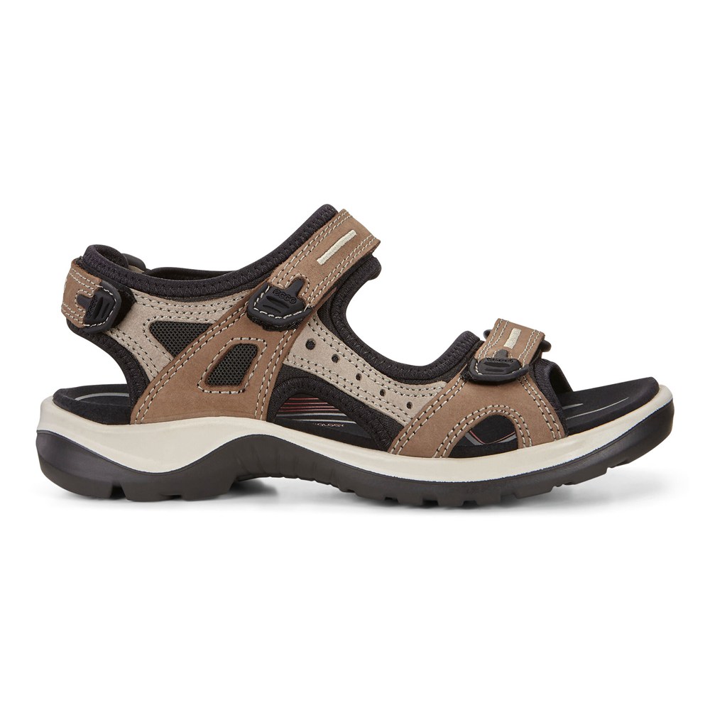 Sandalias Mujer - ECCO Yucatan - Beige - OCS609573